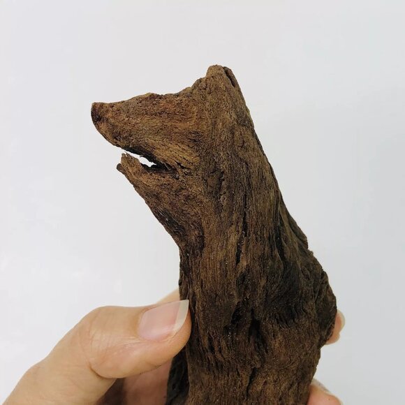 Wood Bear Shape Weird Natural Formed Animal Statue Figurines Decor Piece Gift